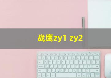 战鹰zy1 zy2